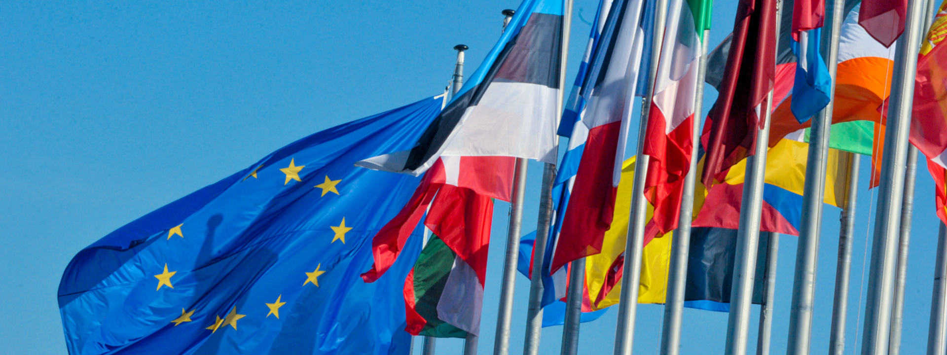 Vlaggen Europa